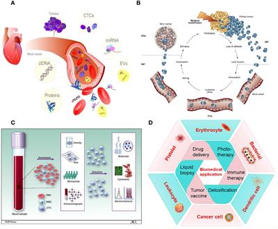 Research progress of cell membrane biomimetic nanoparticles for circulating tumor cells